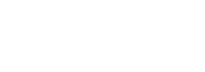 King Professional Home Inspection whitene logo